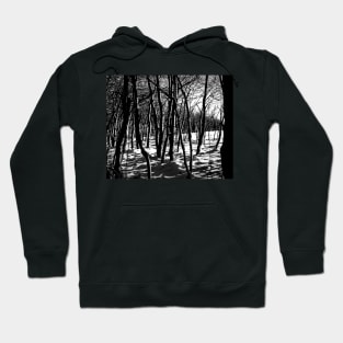 Winter forest in black and white Hoodie